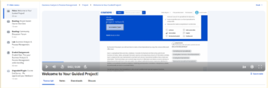Business Analysis & Process Management Project