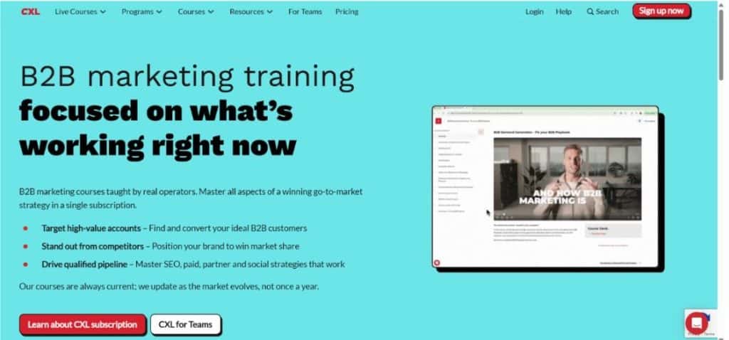 CXL Courses