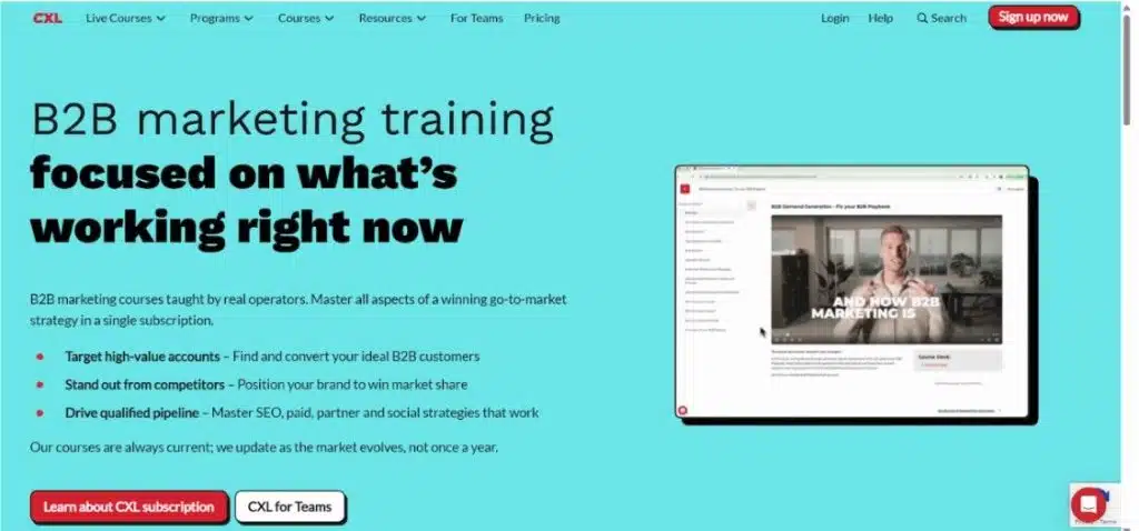 CXL Courses