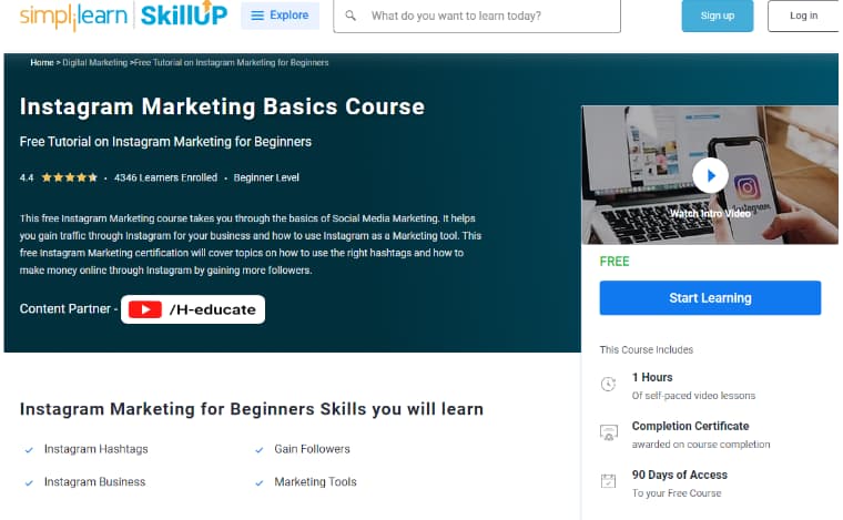 Instagram Marketing Basics Course